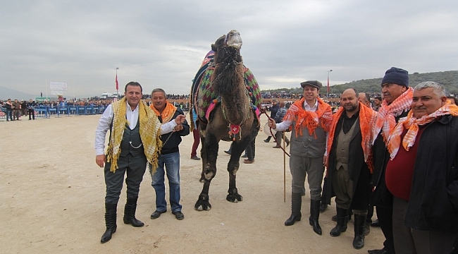 Menderes'te deve güreşleri heyecanı 3 Şubat'ta