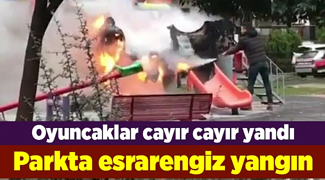 Parkta esrarengiz yangın