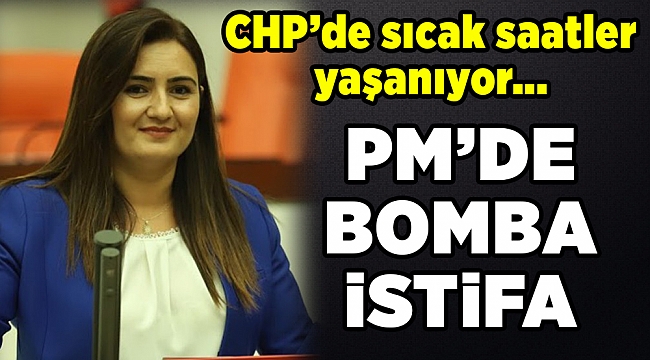 Sevda Erdan Kılıç PM üyeliğinden istifa etti