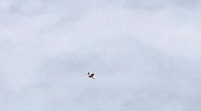 Teröristlerden drone'li saldırı girişimi