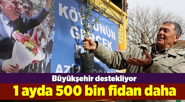 1 ayda 500 bin fidan daha
