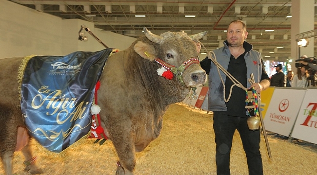 'Ağır Abiler' İzmir Tarım Fuarına geliyor