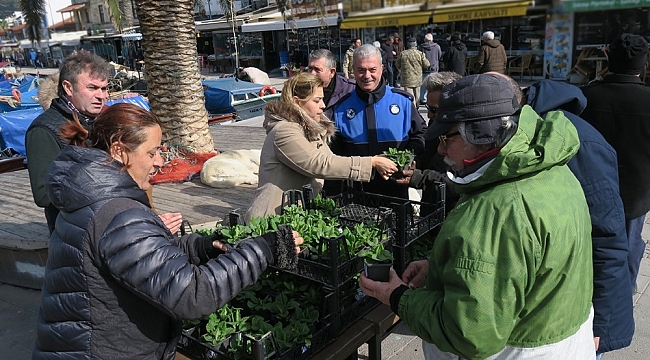 Foça Belediyesi'nden vatandaşlara Sevgililer Günü çiçeği