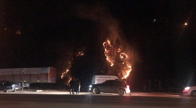 Kış ortasında orman yangını şoku