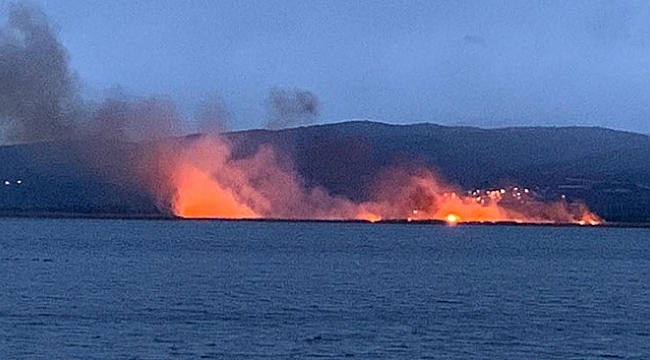 Sazlık alev alev yandı