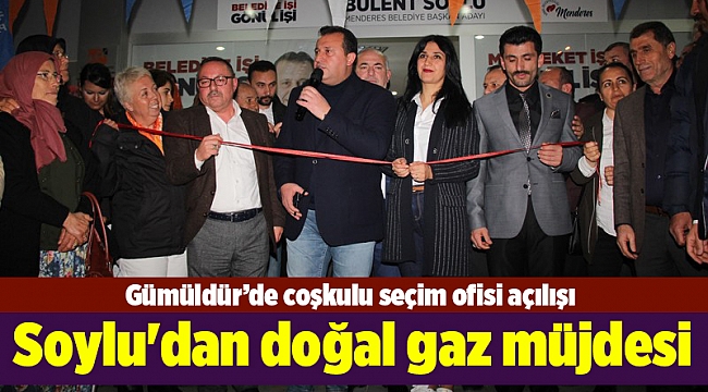 Soylu'dan doğal gaz müjdesi