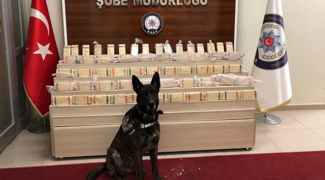 Tırın rüzgarlığına saklanmış 30 kilo eroin ele geçirildi