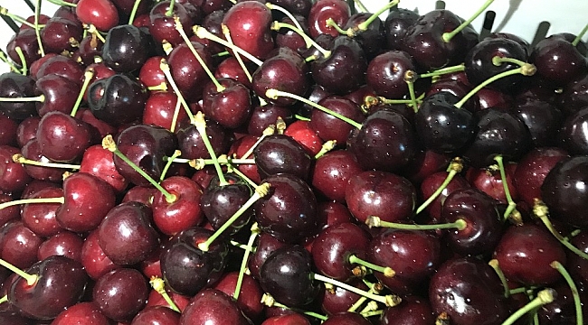 Yaş meyve sektörü 2023 hedeflerine üretici-ihracatçı birlikte ulaşacak