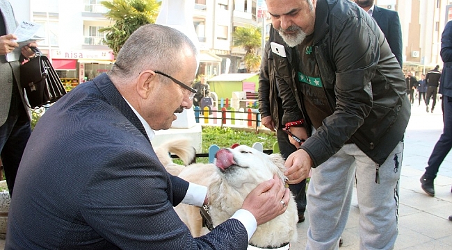 AK Partili Yılmaz: "Sokak hayvanlarını doğal yaşam parkına kavuşturacağız"