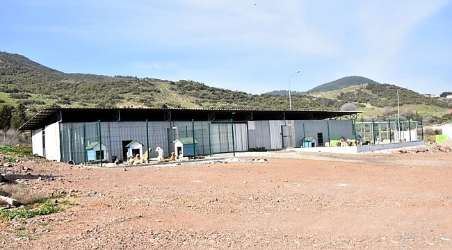 Aliağa'ya moderne hayvan bakımevi