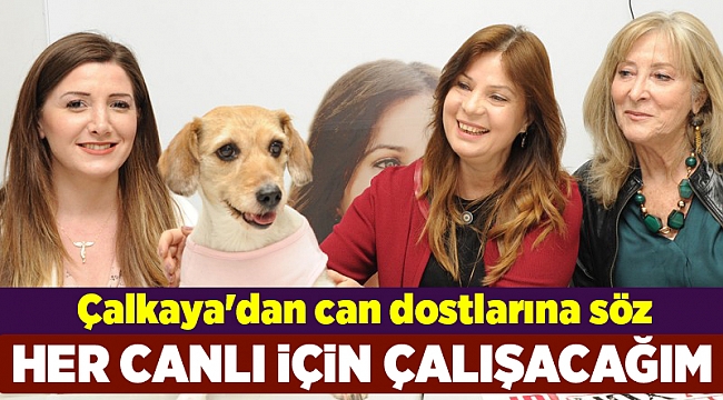 Çalkaya&#039;dan can dostlarına söz