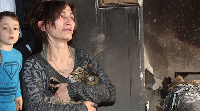 'Efe' kedi patisiyle sahibini yanmaktan kurtardı
