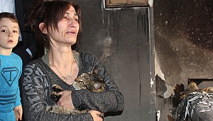 'Efe' kedi patisiyle sahibini yanmaktan kurtardı