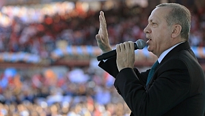 Erdoğan'dan oy sandıklarına sahip çıkma çağrısı