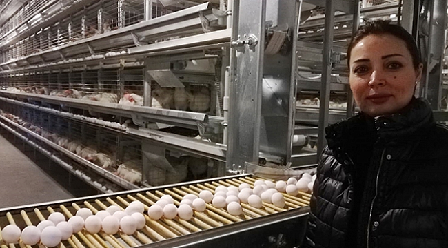 Irak'tan geldi, Mardin'e 15 milyon dolarlık yatırım yaptı