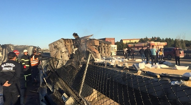 Köprüde can pazarı!