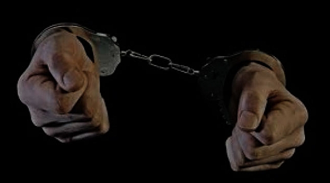 Yeni Zelanda'daki vahşeti öven şahıs tutuklandı