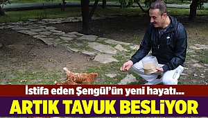 AK Partili Şengül'ün yeni hayatı; Tavuk besliyor