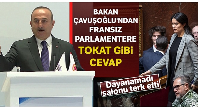 Bakan Çavuşoğlu'ndan, Fransız parlamentere tokat gibi cevap