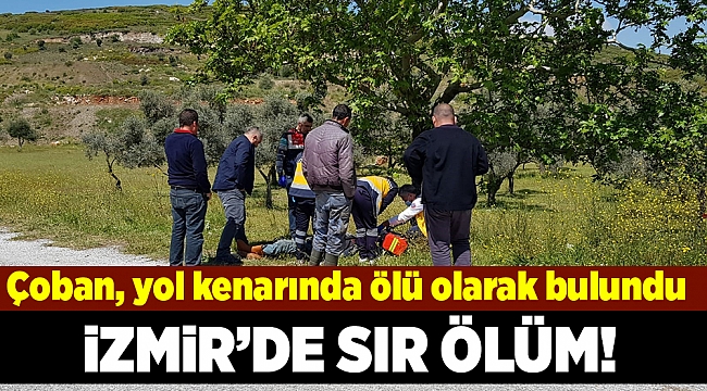 Çoban, yol kenarında ölü olarak bulundu