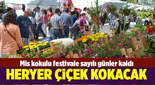 Mis kokulu festivale sayılı günler kaldı
