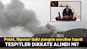 Polat, Ilıpınar'daki yangını meclis'e taşıdı