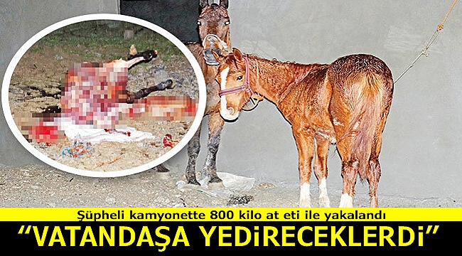 Şüpheli kamyonette 800 kilo at eti ile yakalandı