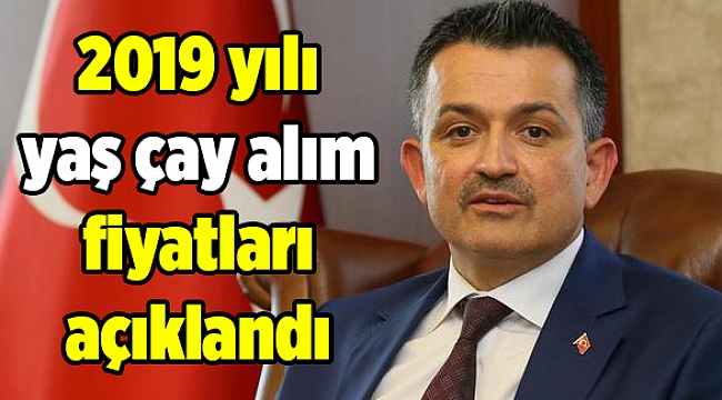 2019 yılı yaş çay alım fiyatları açıklandı