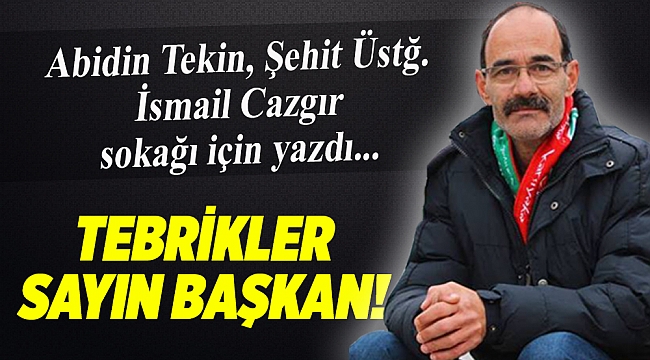 Abidin Tekin yazdı...
