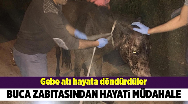 Buca zabıtasından hayati müdahale