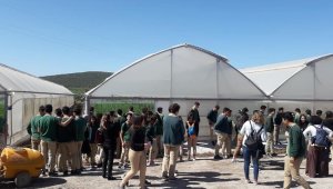 Foça'da öğrenciler, açık cezaevindeki işletmeleri gezdi