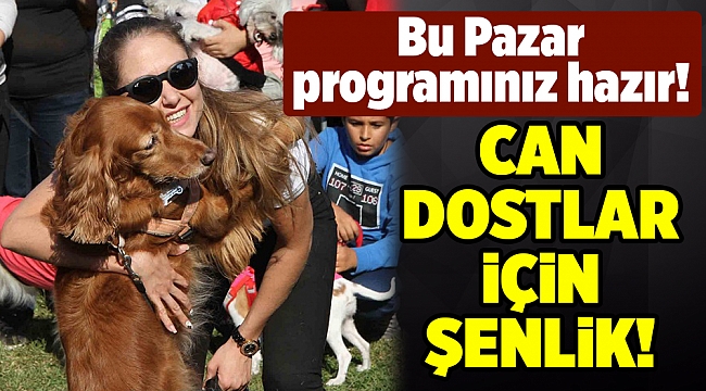 İzmir'de can dostlar için şenlik