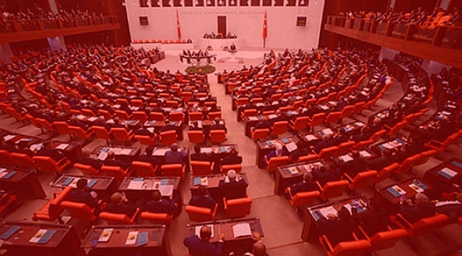 Mavi Balina, TBMM'de...