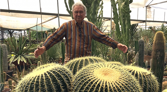 Milyonlar verilse de kendisiyle yaşıt kaktüslerini satmadı