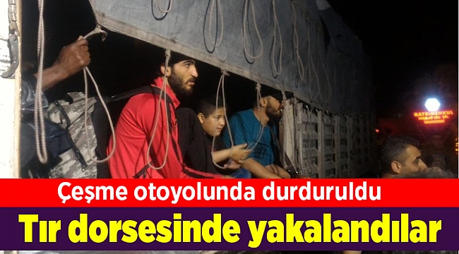 Tır dorsesinde yakalandılar