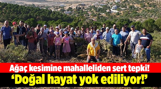 Ağaç kesimine mahalleliden sert tepki!