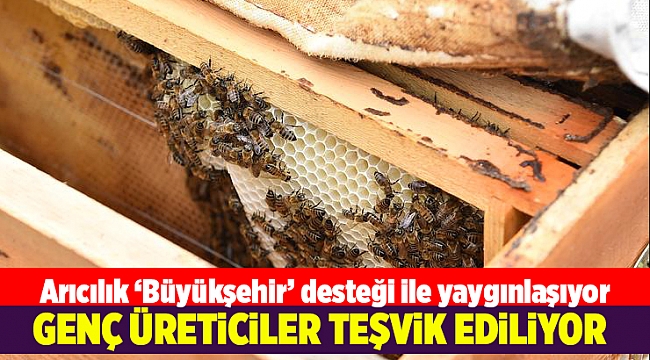Arıcılık “Büyükşehir” desteği ile yaygınlaşıyor