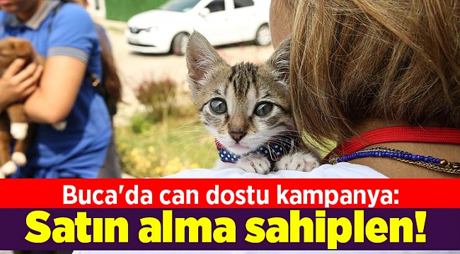 Buca'da can dostu kampanya: Satın alma sahiplen!