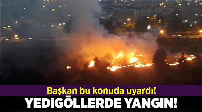 Buca Yedigöller'de çıkan yangın korkuttu...
