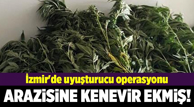 İzmir&#039;de uyuşturucu operasyonu