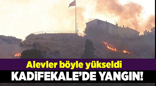 İzmir Kadifekale'de ağaçlandırma alanında yangın çıktı...