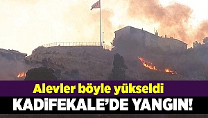 İzmir Kadifekale'de ağaçlandırma alanında yangın çıktı...
