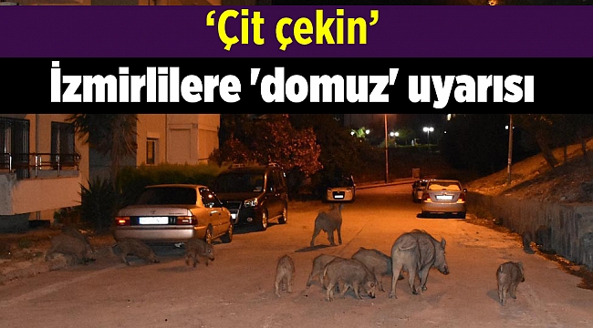 İzmirlilere &#039;domuz&#039; uyarısı
