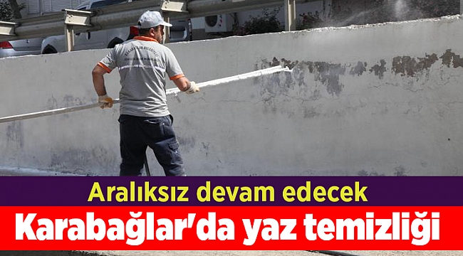 Karabağlar&#039;da yaz temizliği