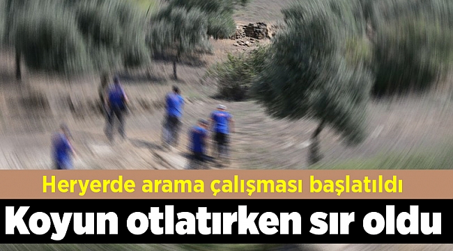 Koyun otlatırken sır oldu