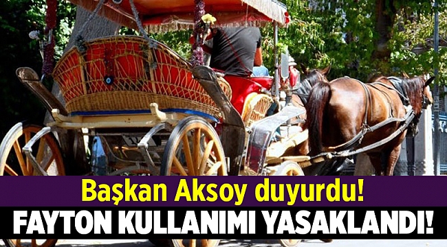 O ilçede fayton kullanımı yasaklandı!