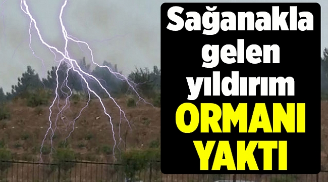 Sağanakla gelen yıldırım ormanı yaktı
