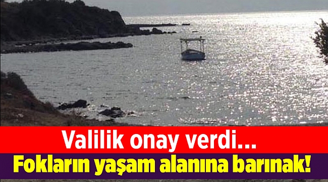 Valilik onay verdi... Fokların yaşam alanına barınak!