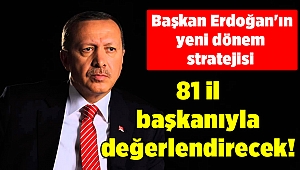 81 il başkanıyla değerlendirecek! Başkan Erdoğan'ın yeni dönem stratejisi