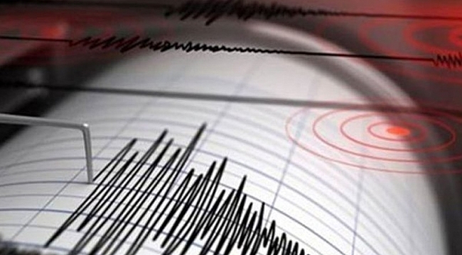 ABD 6,9'luk deprem; 1400'ten fazla artçı meydana geldi